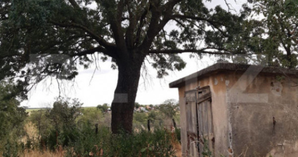 Casa P+1 renovabila, 1008 mp de teren, Sarbatoarea