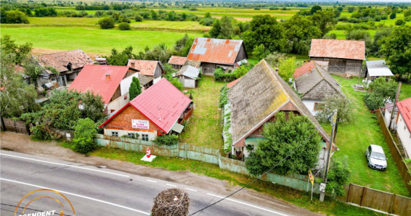 FILM! 2 case,domeniu de 1.660mp, cu atelier,anexe,Lemnia,Co