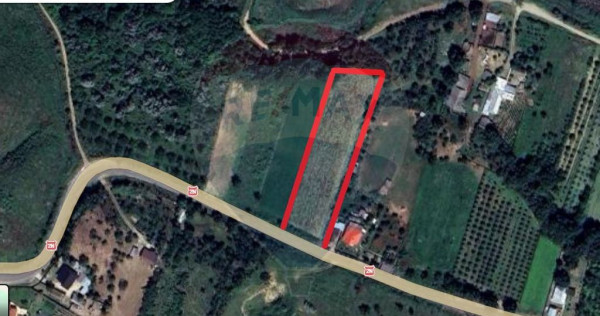 Teren intravilan Dumbraveni / Strada Principala