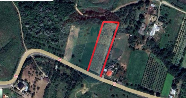 Teren intravilan Dumbraveni / Strada Principala