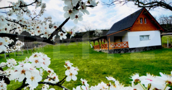 Cabană cu livadă și panoramă superbă &ndash; Refugiu &icirc;n na