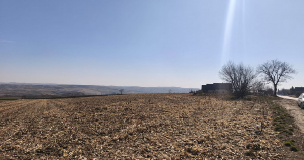 Teren 6500mp, 40ml deschidere la E85, Granicesti, Suceava