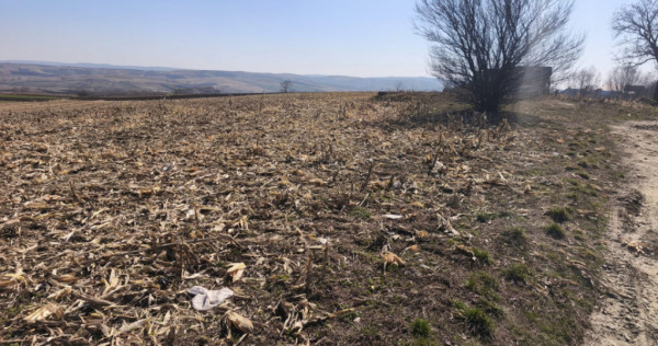 Teren 6500mp, 40ml deschidere la E85, Granicesti, Suceava