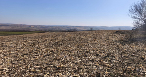 Teren 6500mp, 40ml deschidere la E85, Granicesti, Suceava