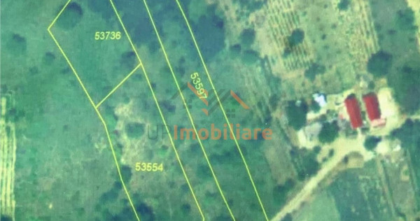 TEREN EXTRAVILAN | 2939MP | UILEACUL DE CRIS | BIHOR