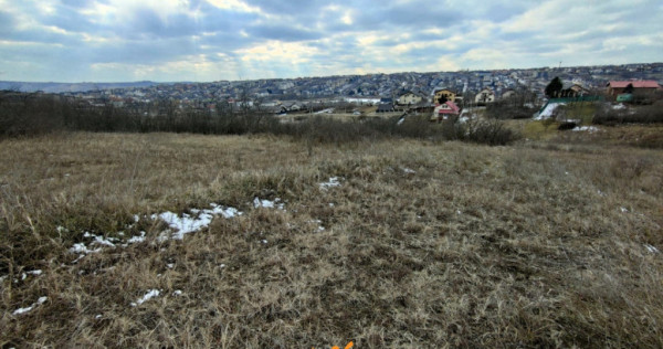 Copou - Viticultori 3 parcele teren intravilan 1417 mp + PUZ