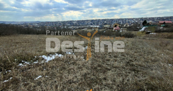 Copou - Viticultori 3 parcele teren intravilan 1417 mp + PUZ