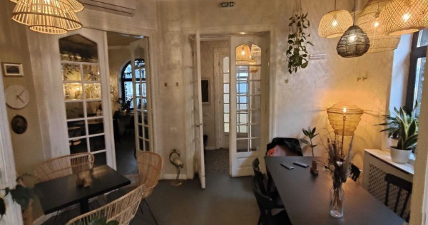 Parcul Carol, vilaD+P+1