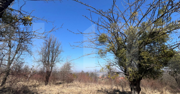 Teren intravilan de vanzare sat Gheorgheni