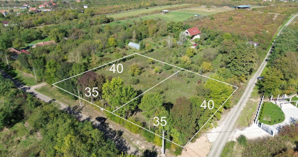 De vanzare Teren Intravilan Viile Satu Mare /Parcelabil/Z...