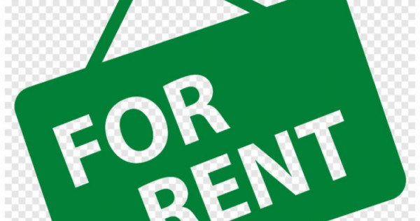 Spatiu comercial central, Radauti