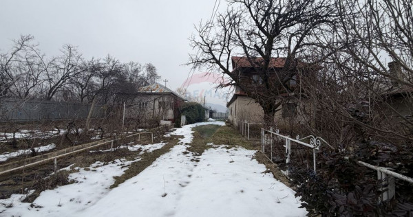 Casă cu teren Tifesti