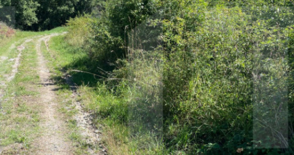 Teren de vanzare in zona Casele Micesti