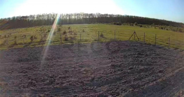 Teren Intravilan de Pausa, Bihor ,14 km de Oradea