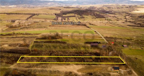 RECO Teren intravilan Zona Vadu Crisului Bihor