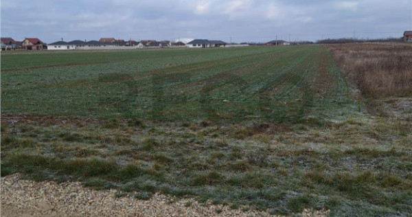 Reco, teren intravilan Nojorid