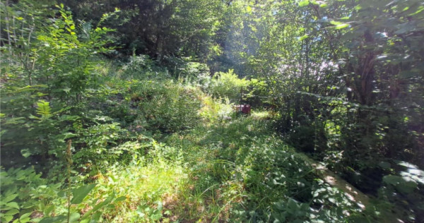 RECO Teren intravilan Boga