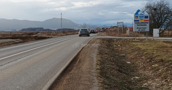 Teren 9000 mp Sacele Izvor, front 356 m la DJ 103A