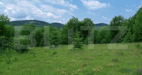 Teren intravilan de v&acirc;nzare, 30.121 mp, Tr&acirc;ncești, Scări