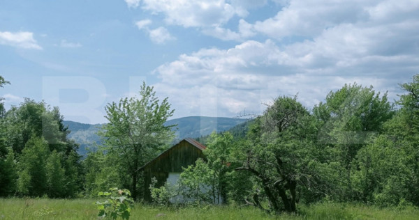 Teren intravilan de v&acirc;nzare, 30.121 mp, Tr&acirc;ncești, Scări