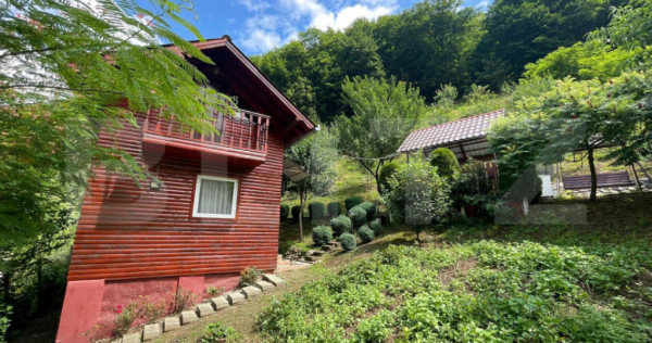 Casa de vacanta cu 4 camere, 1470 mp teren, Sugag