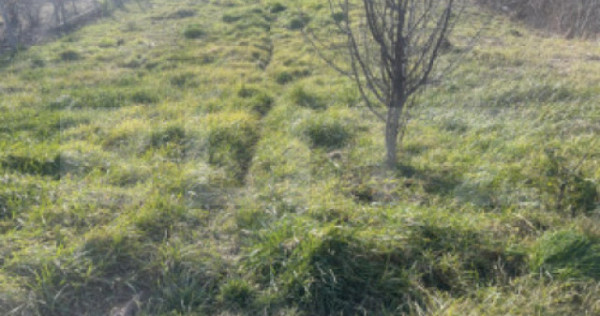 Teren intravilan de vanzare, 1.265 mp - Zalau