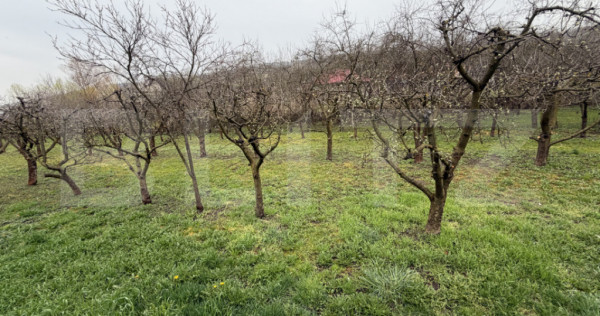 Teren intravilan de vanzare, 1.265 mp - Zalau