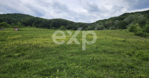 Teren 11,935mp Margineni / Strada Dubas