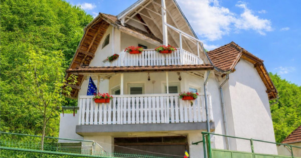 3D! Casa autentica,5.025 mp teren,in spectacolul montan al C