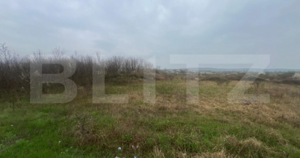 Teren intravilan, 4650mp, stradal DE, Sere Isalnita