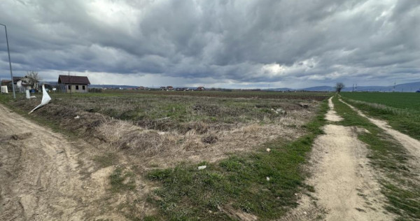 Teren intravilan 520 mp Harman