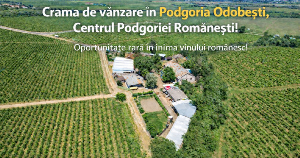 Cramă complet funcțională in inima Podgoriei Odobești