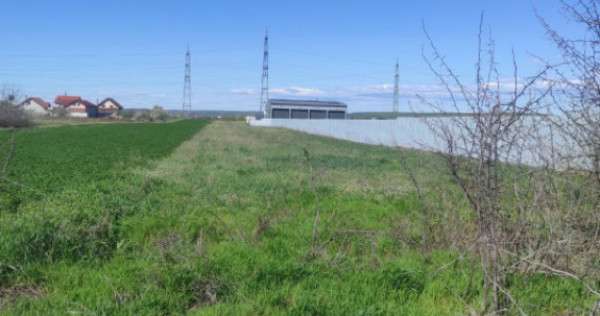 Teren extravilan 5000 mp, Albesti