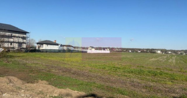 Teren Soseaua Clinceni- Ordoreanu stradal.