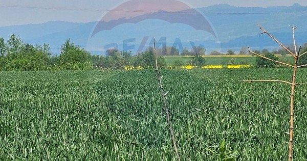 Teren 4 ha pretabil pentru irigații Codlea / DJ 112A