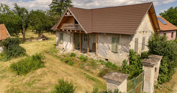 FILM! 2.700mp teren cu casa personalizabila, pomi fructiferi