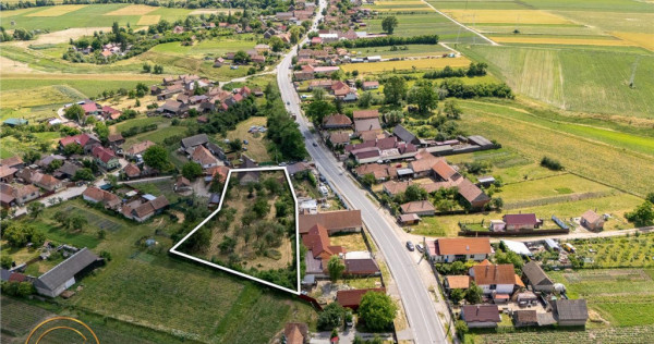 FILM! 2.700mp teren cu casa personalizabila, pomi fructiferi