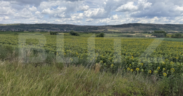 Teren intravilan in localitatea Bobota in suprafata de 11500