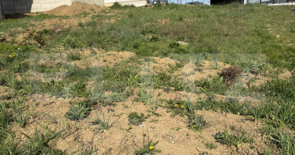 Teren intravilan, 500 mp, zona Dumbrava 2