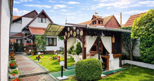 FILM 3D! Intre traditie si modern, un camin cu personalitat