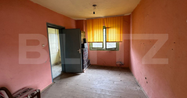 Casa 41 mp utili cu 247mp teren in Brestei