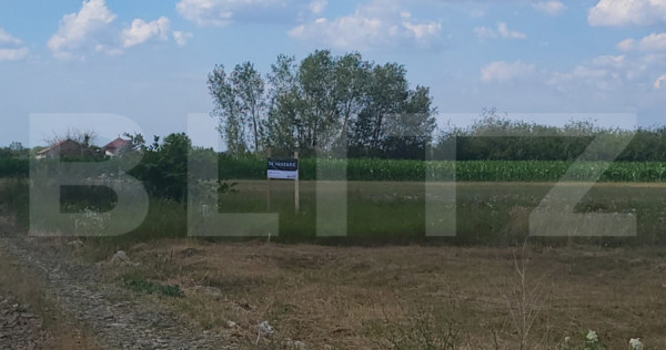 Teren intravilan de vanzare, 660 mp, in Cionchesti
