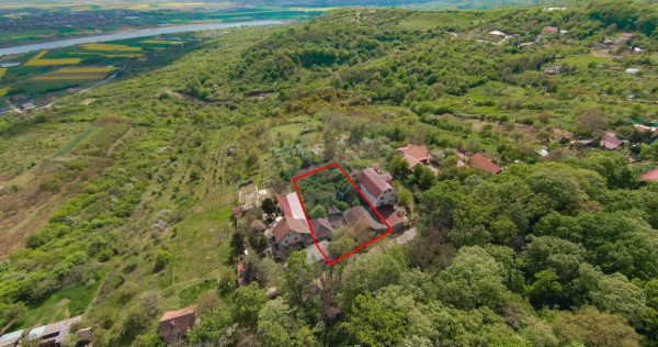 De v&acirc;nzare casă și teren 1.425 mp - Podgoria