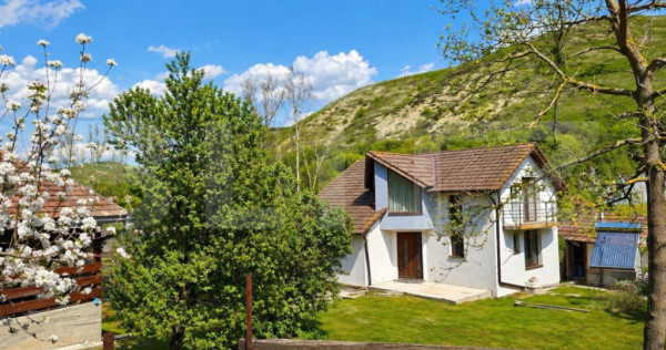 Proprietate unică! 2 case pe teren 1174 mp, constructie 202