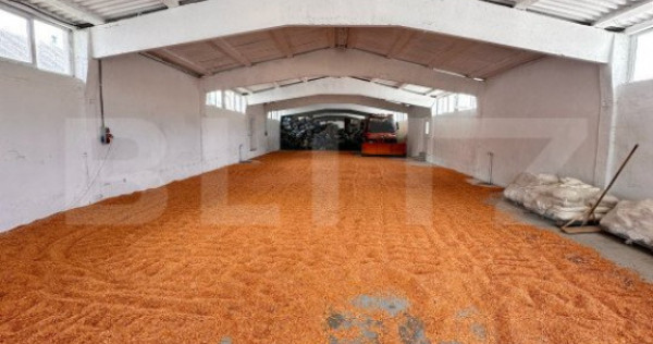 Hala de inchiriat 350 m&sup2; , Cășeiu