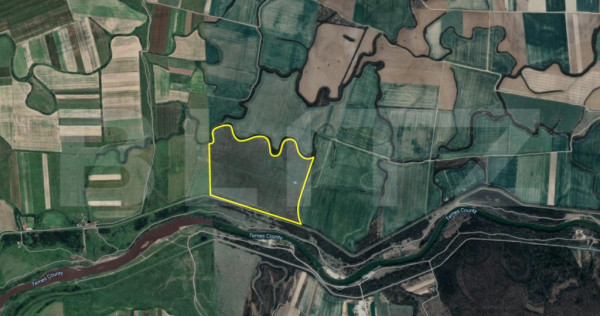 Teren comasat 50 ha, Bazoșul Nou, la 18 km de Timișoara