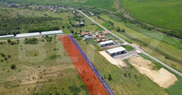 Teren, 2800 mp, Apahida