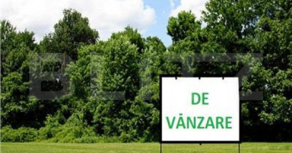 Teren intravilan 2500 mp, front 20 ml, Ilisesti - la Drumul
