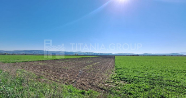 Teren de 8700 mp - extravilan - Bod, Brasov