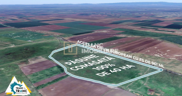 Teren PASUNE de 40ha, Comasat 100%, cu FS de 961 ml la Dr...
